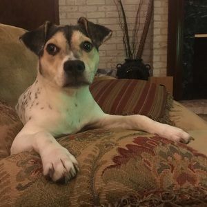 Meet your Posher, Elena